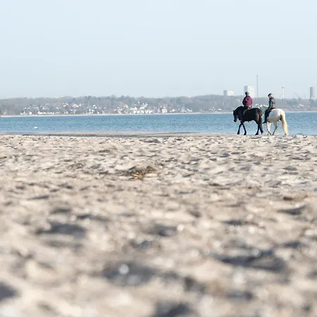 Wohnpark Am Muehlenteich - 34 Apartment